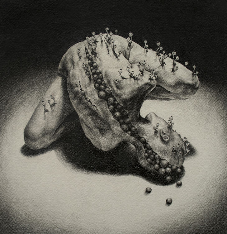 729x751 drawing international fine art competition drawing art fiegrades - Fine Drawing