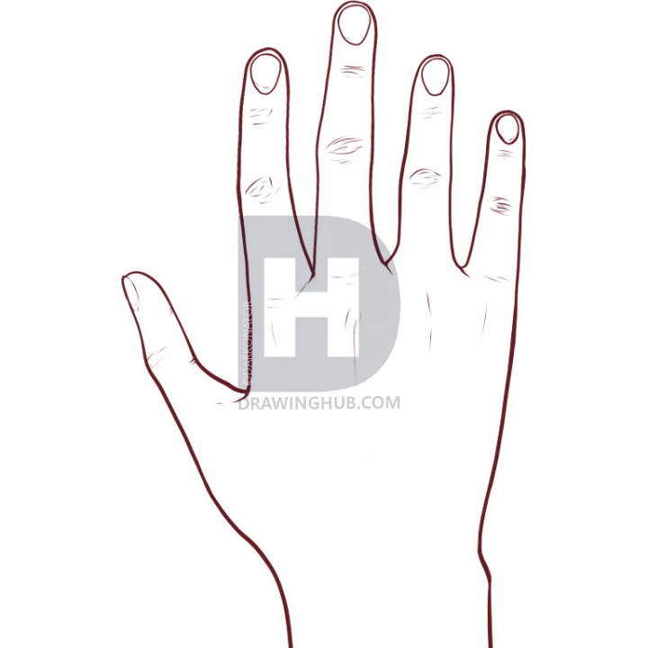 720x720 How To Draw Fingers, Step - Finger Drawing