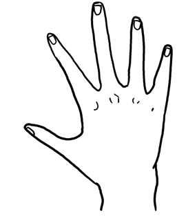 270x320 How To Draw A Hands Step - Finger Drawing