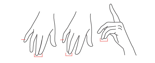 599x245 Human Anatomy Fundamentals How To Draw Hands - Finger Drawing