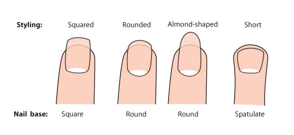 600x276 Human Anatomy Fundamentals How To Draw Hands - Fingernail Drawing