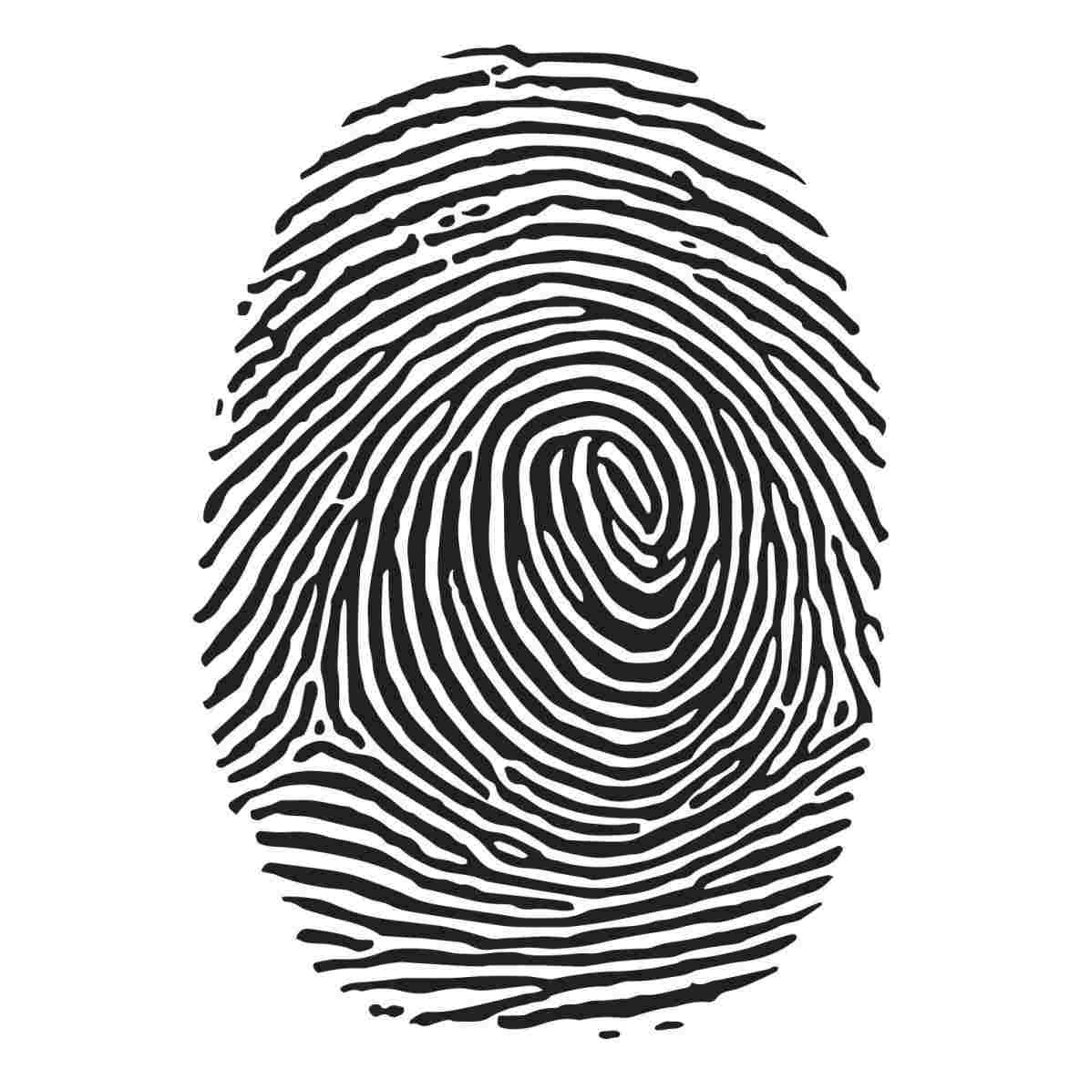 Fingerprint Drawing Ideas