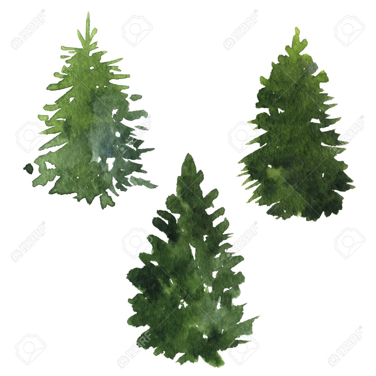 1300x1300 Fir Forest Tree Drawing - Fir Tree Drawing