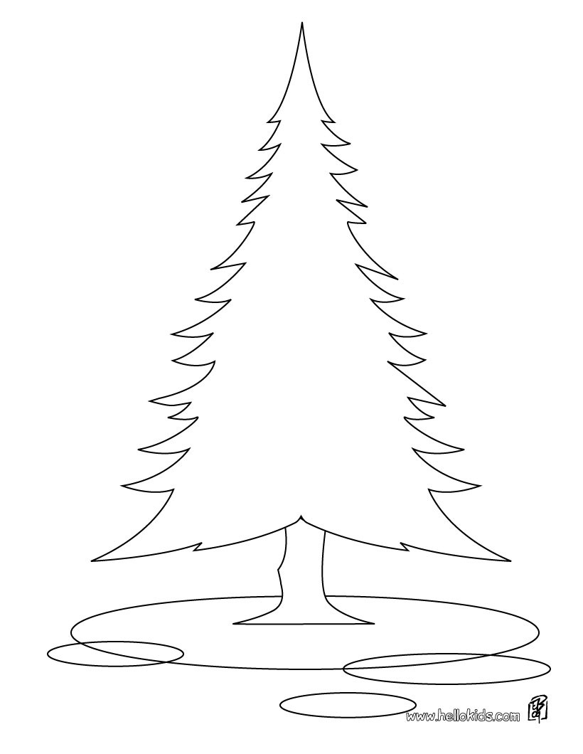 820x1060 Fir Tree Coloring Pages - Fir Tree Drawing