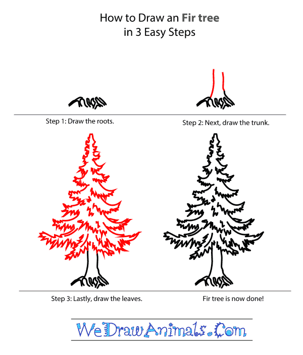 600x702 How To Draw A Fir Tree - Fir Tree Drawing