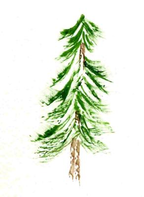 292x400 How To Paint Fir Trees - Fir Tree Drawing