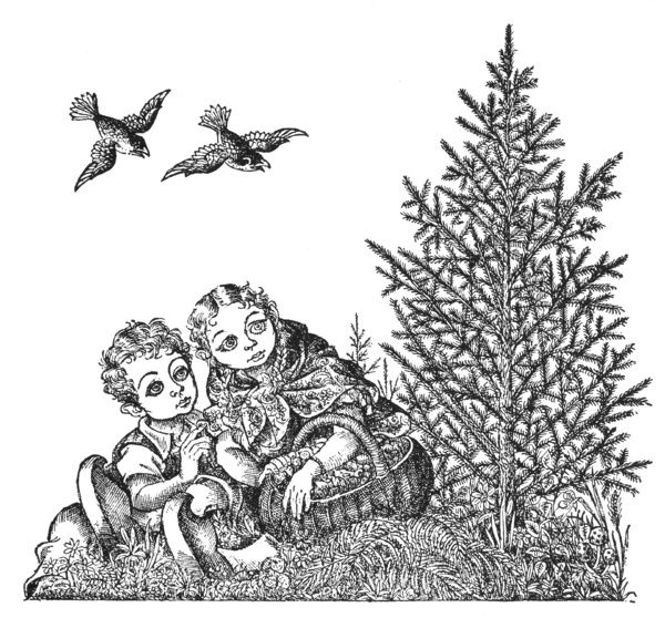 600x558 Prints Of Andersen The Fir Tree Drawing - Fir Tree Drawing