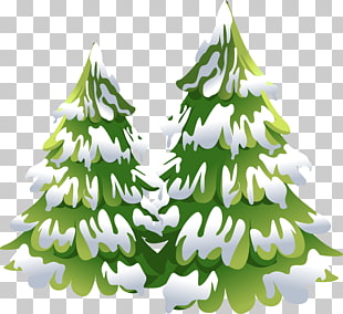 310x284 Spruce Fir Tree Drawing Tree Png Clipart Free Cliparts Uihere - Fir Tree Drawing