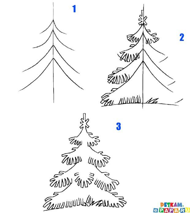 620x693 Kids Learn How To Draw A Fir Tree Crafts Creativity Basteln - Fir Tree Drawing