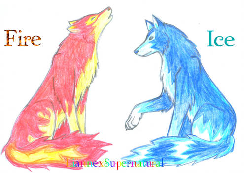 495x350 Fire And Ice Wolves D - Fire And Ice Drawing