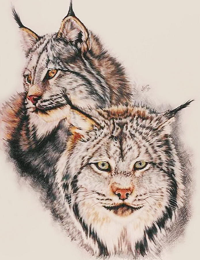 695x900 Fire And Ice Drawing - Fire And Ice Drawing