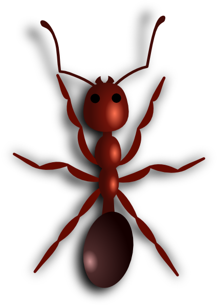 426x596 Fire Ant Drawing - Fire Ant Drawing