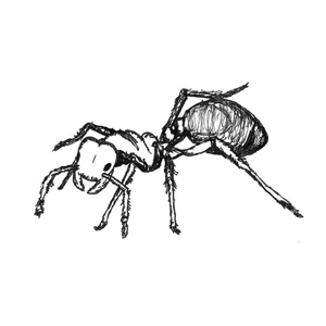 300x300 Fire Ants Survive Flooding - Fire Ant Drawing