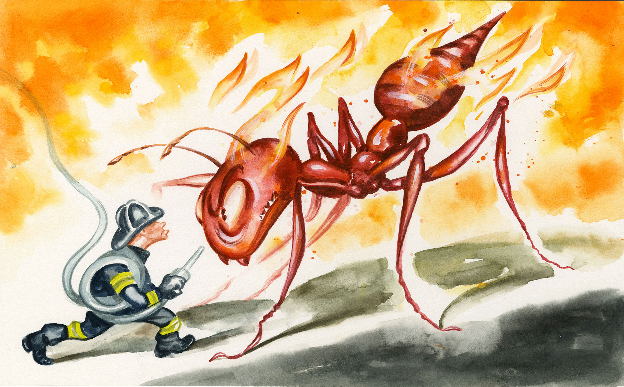 2000x1241 The Texanist To Pop Or Not To Pop Fire Ant Bites Texas Monthly - Fire Ant Drawing