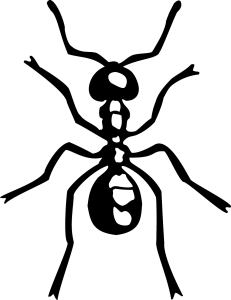 231x300 Collection Of Free Ant Drawing Simple Download On Ui Ex - Fire Ant Drawing