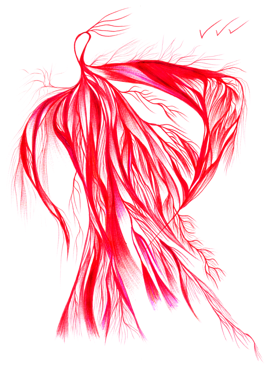 893x1200 Man On Fire Drawing - Fire Art Drawing