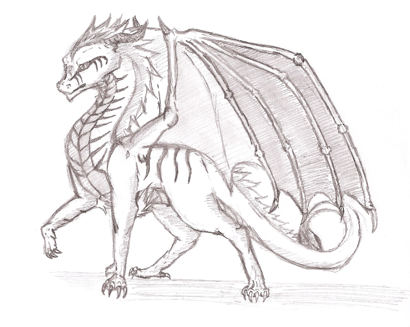 835x666 Gallery For Gt Fire Dragon Drawings Olivia In Dragon - Fire Dragon Drawing