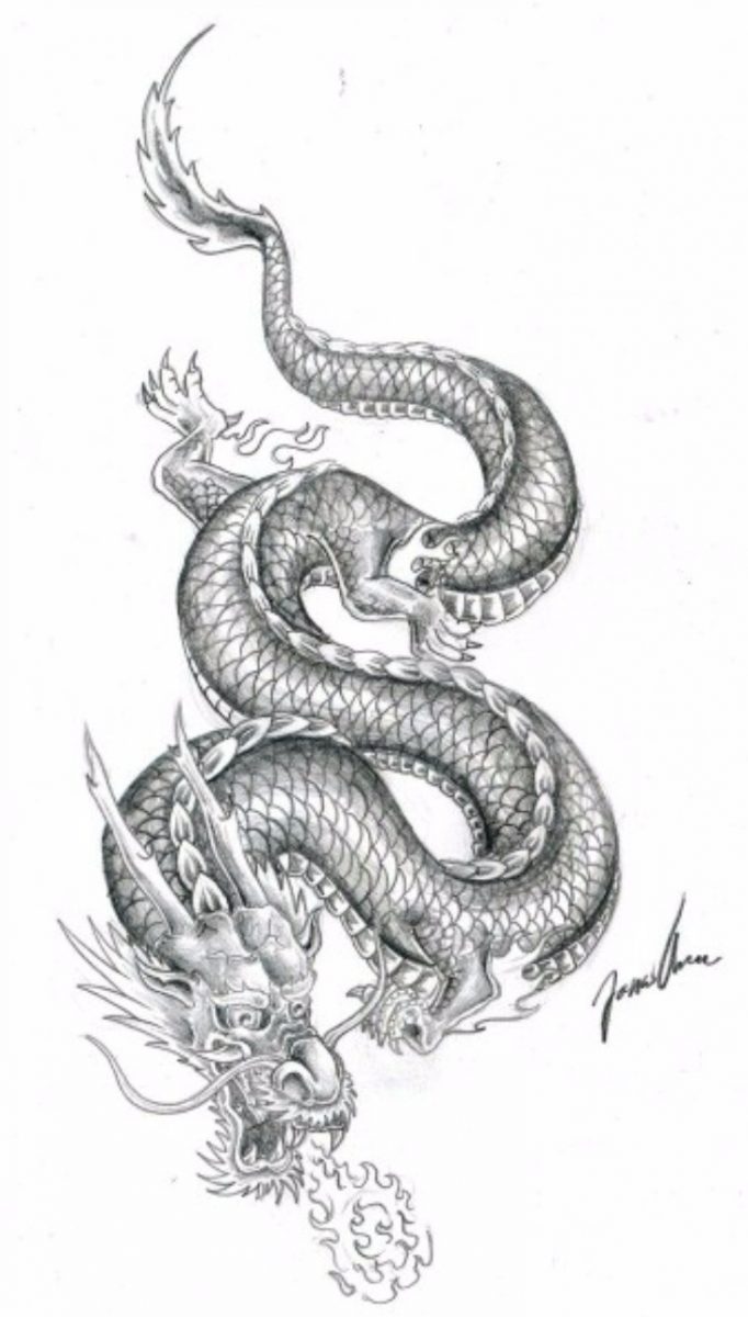 682x1200 Top Stunning And Realistic Dragon Drawings - Fire Dragon Drawing