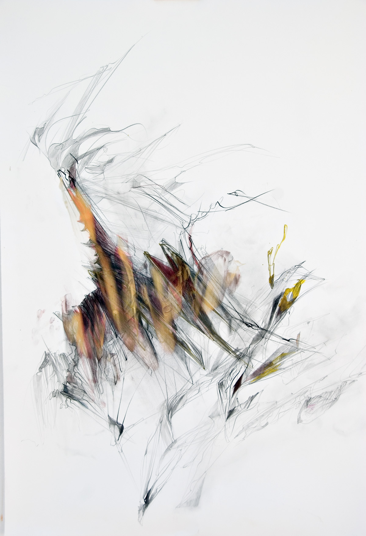 1200x1758 Fire Drawing Bonny Doon Christina Mcphee - Fire Drawing