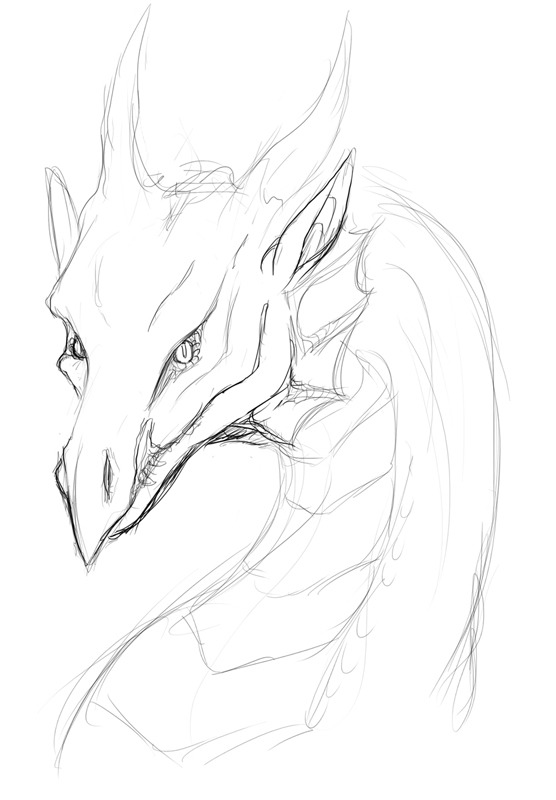 556x800 Nivom Age Of Fire Wiki Fandom Powered - Fire Drawing Tumblr