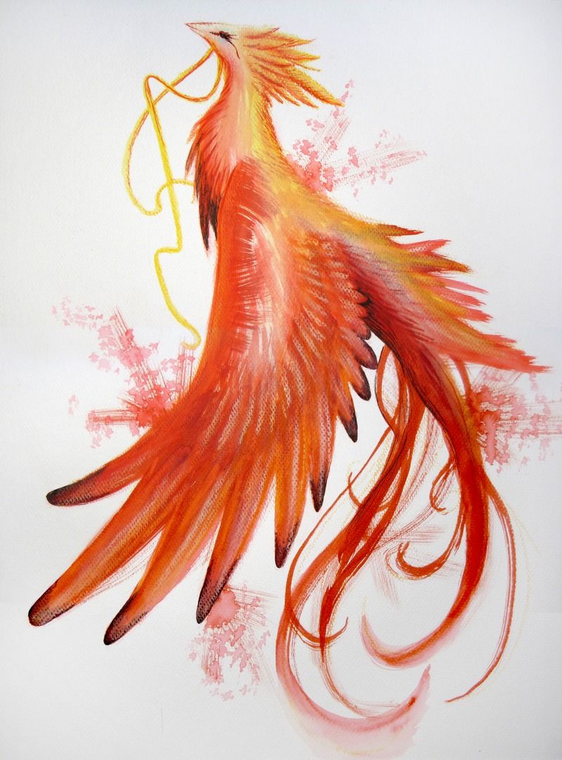 800x1082 Fire Bird Tumblr Phoenix Writer Phoenix Drawing, Phoenix - Fire Drawing Tumblr