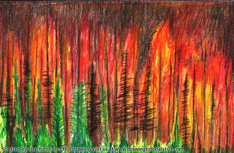 800x524 Forest Fire Colored Pencils - Fire Pencil Drawing