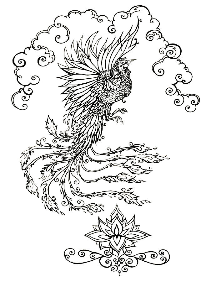 675x900 Firebird And Lotus Drawing - Firebird Drawing