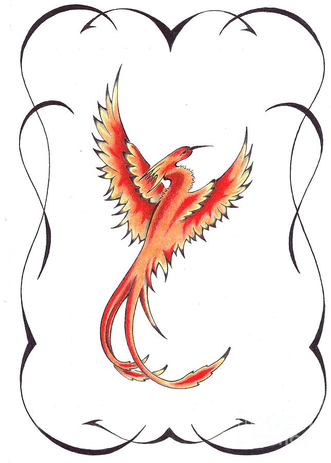 644x900 Firebird Drawing - Firebird Drawing