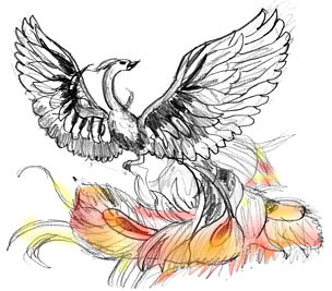 304x267 How To Draw A Fire Bird - Firebird Drawing