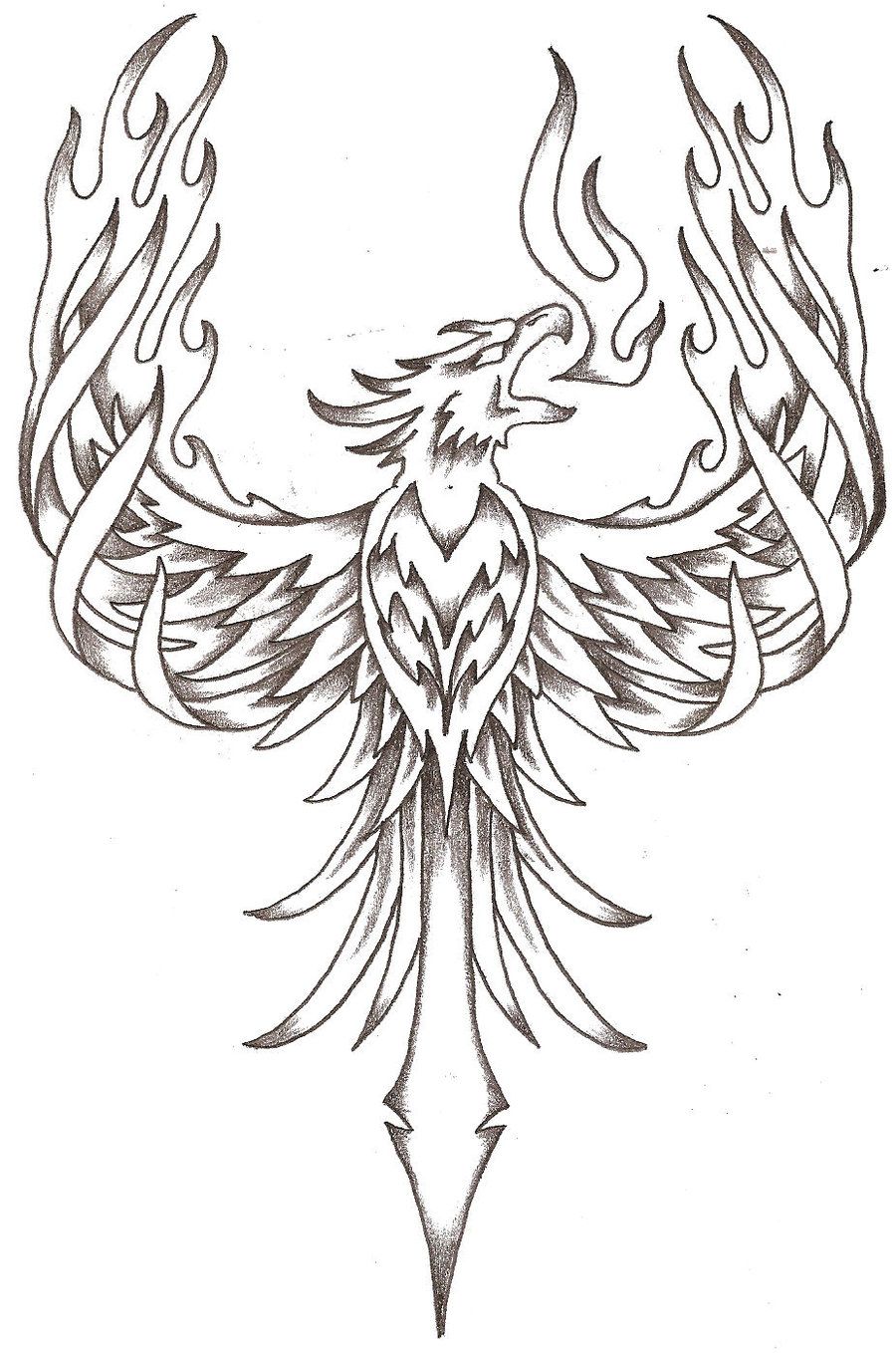 900x1358 Phoenix Drawings Phoenix Firebird - Firebird Drawing