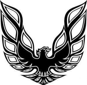 300x294 Pontiac Firebird Logo - Firebird Drawing
