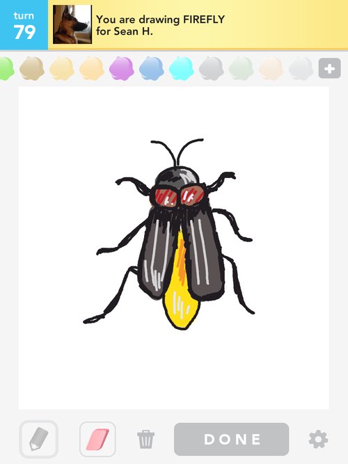 500x667 Firefly Drawings - Firefly Drawing