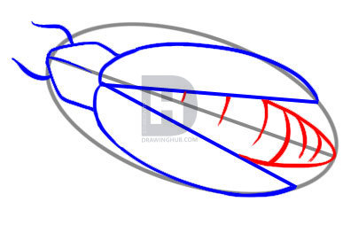 387x254 How To Draw A Firefly, Step - Firefly Drawing