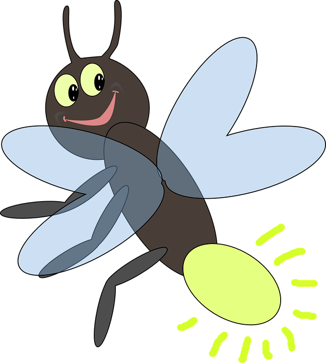 647x720 Fireflies Drawing Free Download On Unixtitan - Firefly Insect Drawing