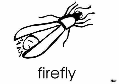 474x337 Firefly Insect Drawing Gtgt - Firefly Insect Drawing