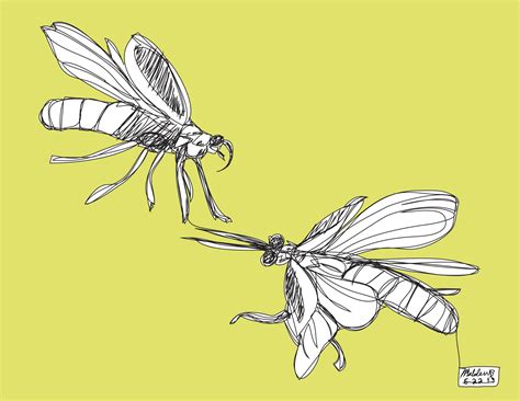474x366 Lightning Bug Drawing - Firefly Insect Drawing