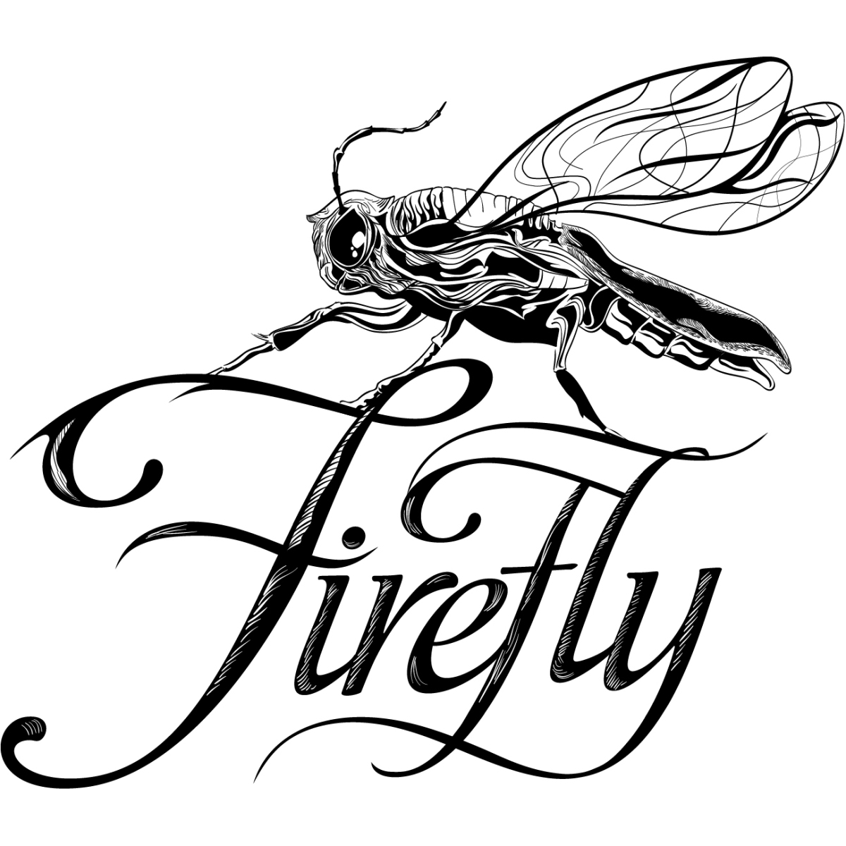 1200x1200 Collection Of 'firefly Insect Drawing' Download More Than - Firefly Insect Drawing