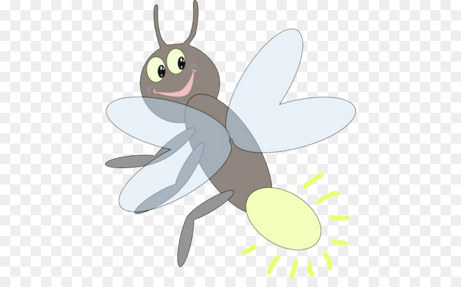 900x560 Drawn Insect Firefly - Firefly Insect Drawing