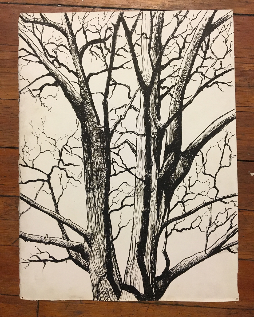 1080x1350 Untitled More Old Drawings Of Living Firewood - Firewood Drawing