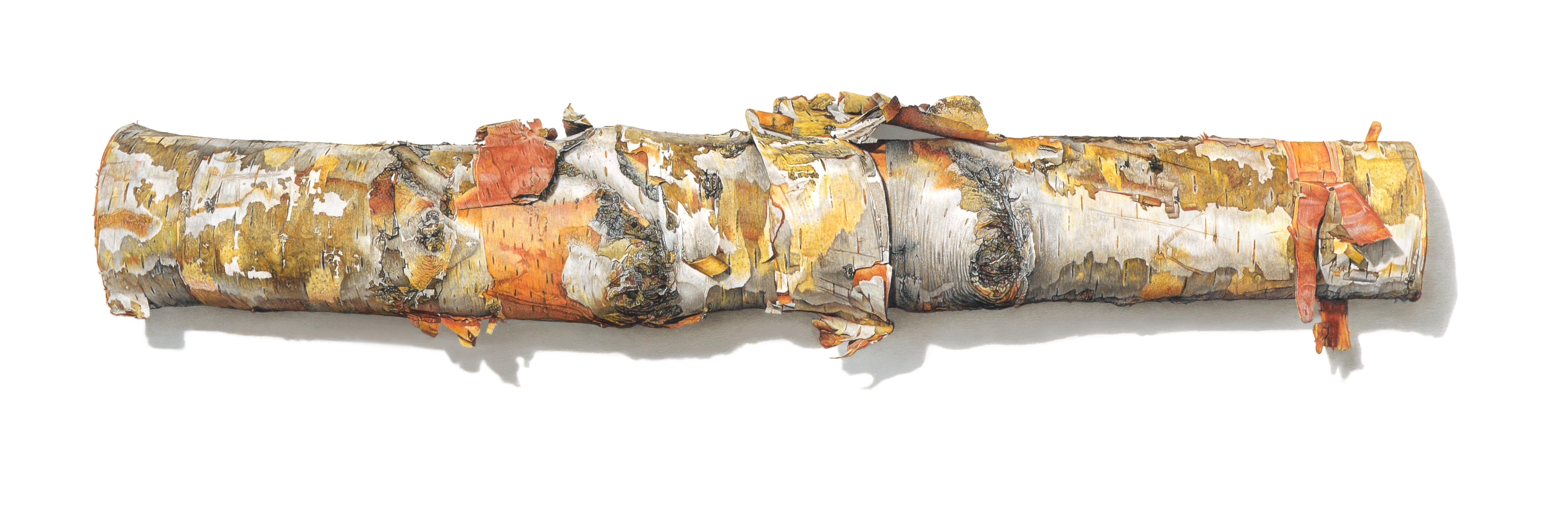 6072x1960 david morrison - Firewood Drawing