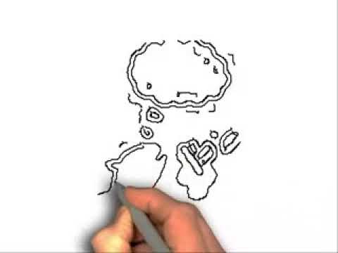 480x360 How To Draw Fish And Chips - Fish And Chips Drawing