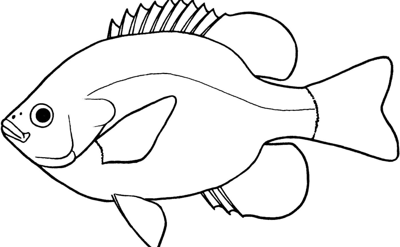 1395x864 Fish Black And White Clipart Free Images Download Clip Art - Fish Black And White Drawing