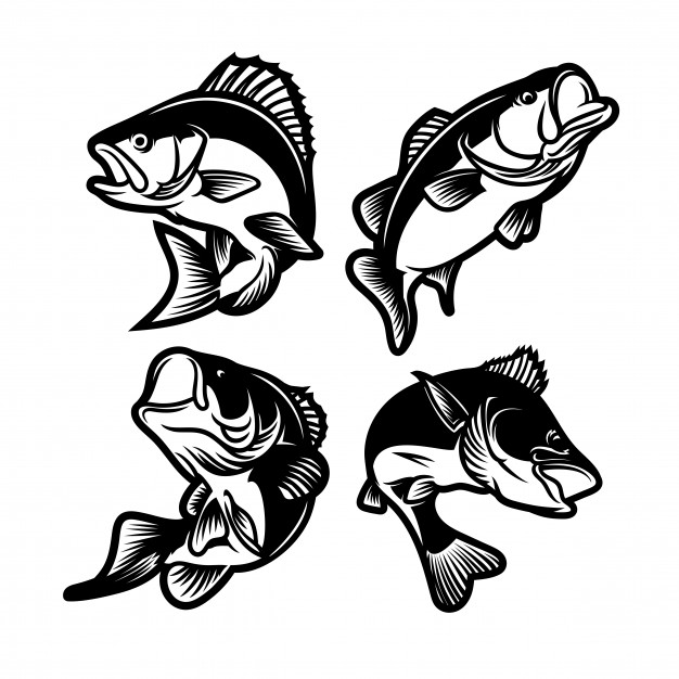 626x626 Fish Vectors, Photos And Free Download - Fish Black And White Drawing