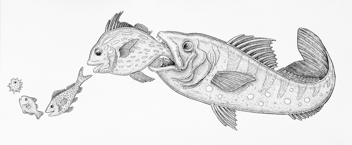 1500x618 Black And White Ink Eugenia Hauss - Fish Black And White Drawing