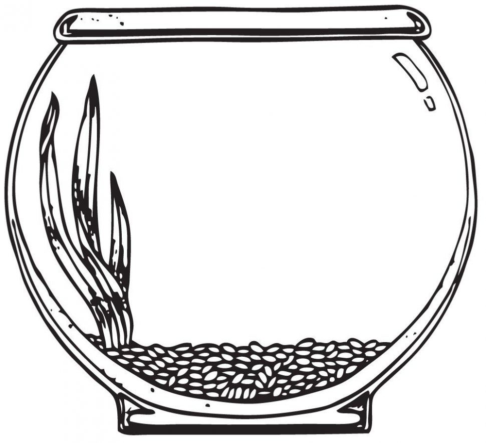 970x883 Aquarium Drawing Fish Bowl For Free Download - Fish Bowl Drawing