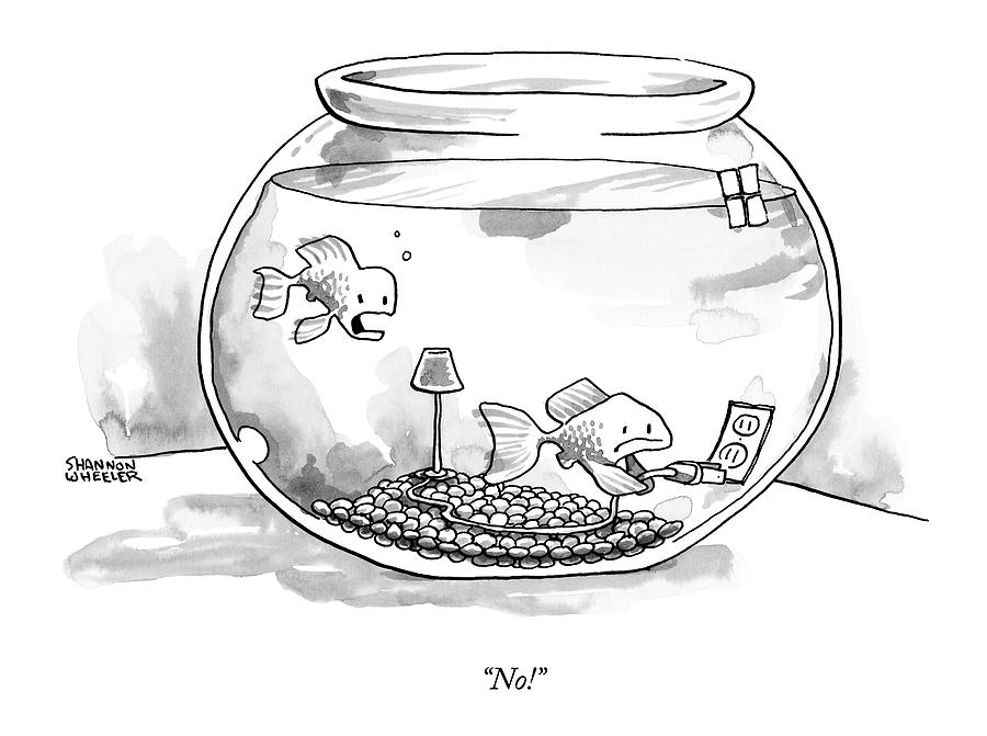 900x671 Two Fish Are In A A Fish Bowl One Drawing - Fish Bowl Drawing