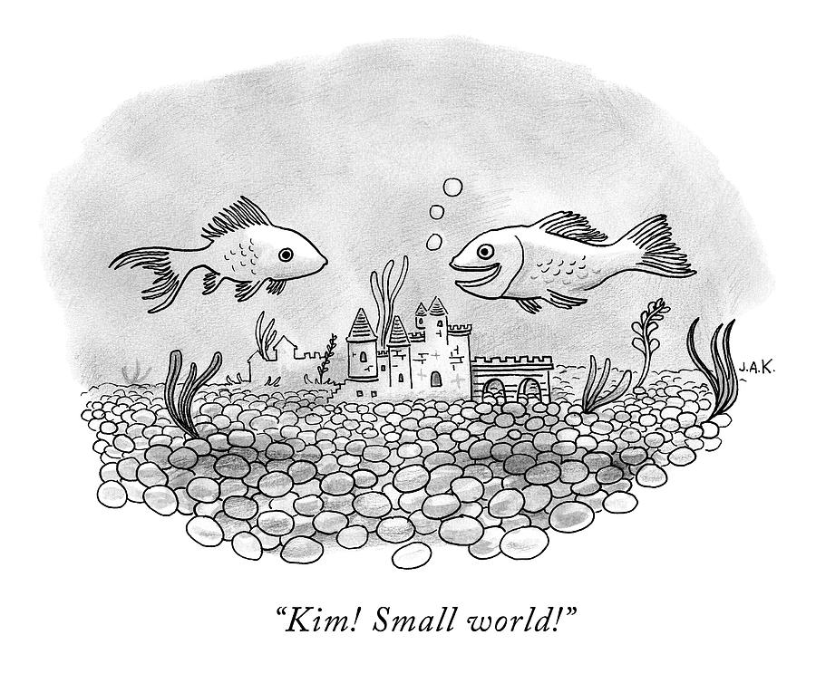 900x754 Two Goldfish In A Fishbowl Cross Paths Drawing - Fish Bowl Drawing