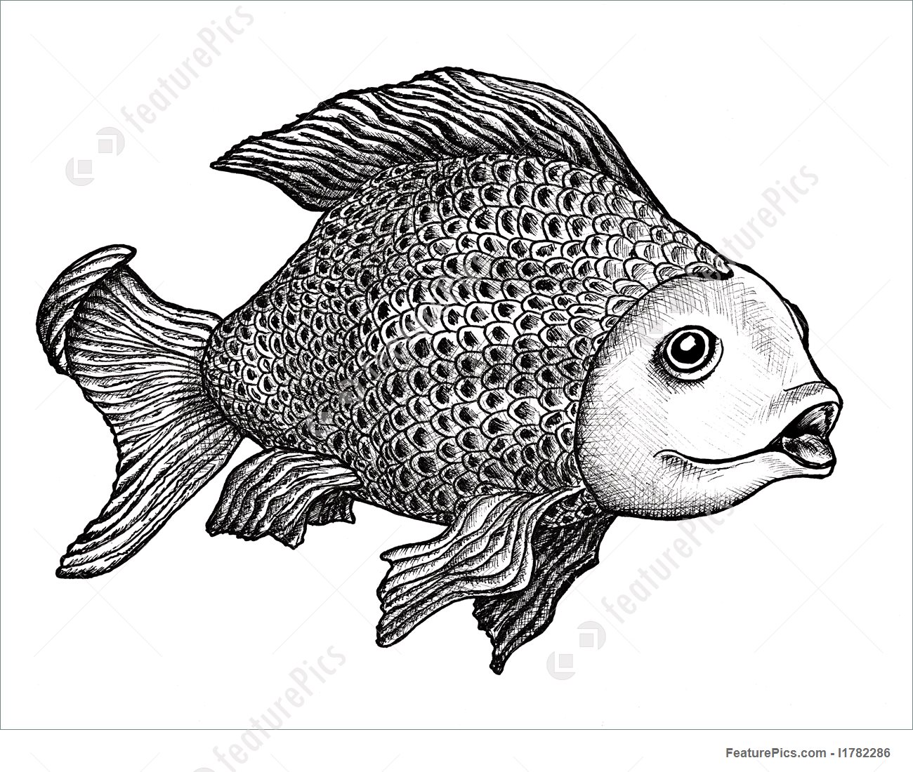 1300x1100 Fish Drawing Illustration - Fish Drawing