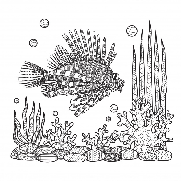 626x626 Hand Draw Fish Background Vector Free Download - Fish Drawing