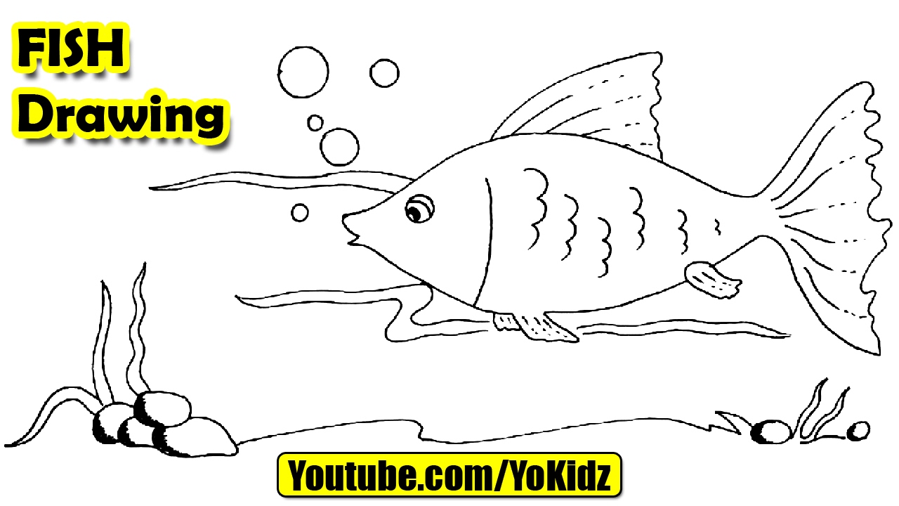 1280x720 How To Draw A Fish For Kids - Fish Drawing